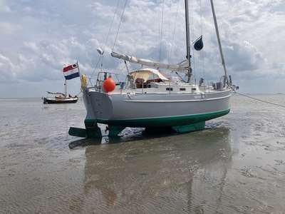 puffin30
